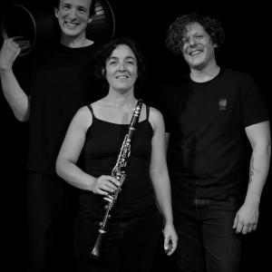 Dimanche 15/2 à 17h, Trio Charneux-Leleux-Puma en concert